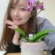 ヒメ日記 2025/02/25 16:05 投稿 ゆら Noble