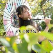 ヒメ日記 2025/05/24 13:05 投稿 ゆら Noble