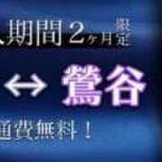 ヒメ日記 2025/11/04 11:05 投稿 ゆら Noble