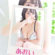 あおい お休み ダック京都
