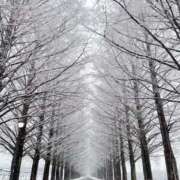 ヒメ日記 2025/03/02 23:01 投稿 ゆき オレンジBOX