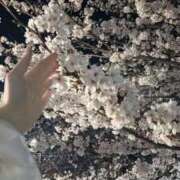 ヒメ日記 2025/04/05 12:41 投稿 ゆき オレンジBOX