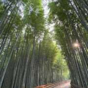 ヒメ日記 2025/10/12 00:51 投稿 ゆき オレンジBOX