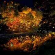 ヒメ日記 2025/11/22 20:21 投稿 ゆき オレンジBOX