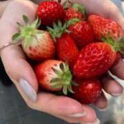 ヒメ日記 2026/02/16 22:08 投稿 スイ OPELA（オペラ）