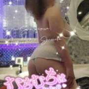 ヒメ日記 2025/02/24 12:32 投稿 相沢せな 五十路マダム静岡店（カサブランカG）