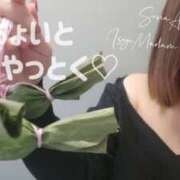 ヒメ日記 2025/02/24 19:06 投稿 相沢せな 五十路マダム静岡店（カサブランカG）