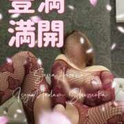 ヒメ日記 2025/03/30 20:44 投稿 相沢せな 五十路マダム静岡店（カサブランカG）