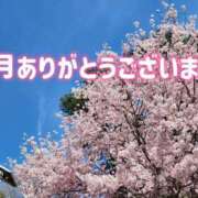 ヒメ日記 2025/03/31 23:02 投稿 相沢せな 五十路マダム静岡店（カサブランカG）