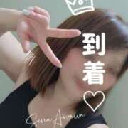 ヒメ日記 2025/04/10 12:06 投稿 相沢せな 五十路マダム静岡店（カサブランカG）