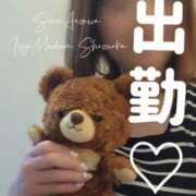 ヒメ日記 2025/04/14 12:22 投稿 相沢せな 五十路マダム静岡店（カサブランカG）