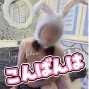 ヒメ日記 2025/10/07 20:26 投稿 相沢せな 五十路マダム静岡店（カサブランカG）