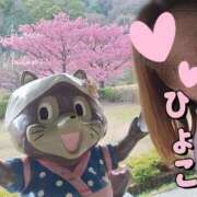 ヒメ日記 2026/01/24 20:18 投稿 相沢せな 五十路マダム静岡店（カサブランカG）