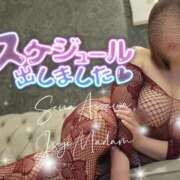 ヒメ日記 2026/01/28 12:48 投稿 相沢せな 五十路マダム静岡店（カサブランカG）