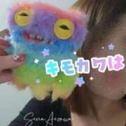 ヒメ日記 2026/02/21 21:56 投稿 相沢せな 五十路マダム静岡店（カサブランカG）