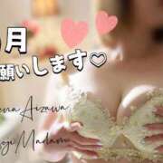 ヒメ日記 2026/09/01 09:14 投稿 相沢せな 五十路マダム静岡店（カサブランカG）