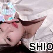 ヒメ日記 2025/10/11 11:00 投稿 しおん☆「妹」天使ロリ極上生乳☆ PREMIUM萌え可愛いチョコレート～全てのステージで感動の体験を～