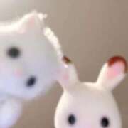 ヒメ日記 2026/03/29 02:14 投稿 MIRIA GINGIRA☆TOKYO～ギンギラ東京～