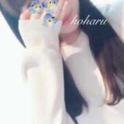 ヒメ日記 2024/12/16 06:41 投稿 こはる SILK SPA福岡店