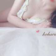 ヒメ日記 2025/03/18 23:21 投稿 こはる SILK SPA福岡店