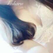 ヒメ日記 2025/04/20 19:31 投稿 こはる SILK SPA福岡店