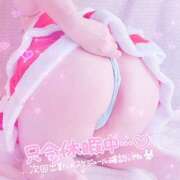 ヒメ日記 2025/04/07 12:05 投稿 なお ぽっちゃり巨乳美女専門川越ちゃんこ