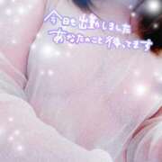 ヒメ日記 2025/04/14 12:04 投稿 なお ぽっちゃり巨乳美女専門川越ちゃんこ