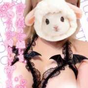 ヒメ日記 2025/06/23 17:01 投稿 なお ぽっちゃり巨乳美女専門川越ちゃんこ