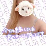 ヒメ日記 2025/07/08 14:13 投稿 なお ぽっちゃり巨乳美女専門川越ちゃんこ