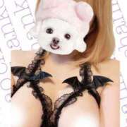 ヒメ日記 2025/07/11 08:19 投稿 なお ぽっちゃり巨乳美女専門川越ちゃんこ