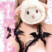 ヒメ日記 2025/07/22 07:59 投稿 なお ぽっちゃり巨乳美女専門川越ちゃんこ