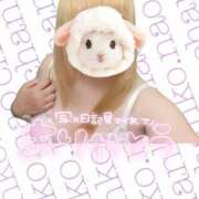 ヒメ日記 2025/08/04 19:47 投稿 なお ぽっちゃり巨乳美女専門川越ちゃんこ