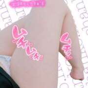 ヒメ日記 2025/08/13 06:38 投稿 なお ぽっちゃり巨乳美女専門川越ちゃんこ