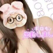 ヒメ日記 2025/10/30 14:39 投稿 なお ぽっちゃり巨乳美女専門川越ちゃんこ