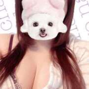 ヒメ日記 2026/04/22 14:01 投稿 なお ぽっちゃり巨乳美女専門川越ちゃんこ