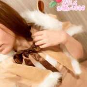 ヒメ日記 2024/12/17 11:11 投稿 沢口(さわぐち) ロケットワイフ