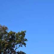 ヒメ日記 2024/12/17 09:49 投稿 にこ・SP やまとなでしこ桜組