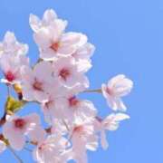 ヒメ日記 2025/02/28 14:43 投稿 にこ・SP やまとなでしこ桜組