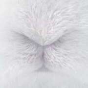 ヒメ日記 2025/03/07 14:56 投稿 にこ・SP やまとなでしこ桜組