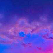 にこ・SP ♡．キャンセル枠 やまとなでしこ桜組