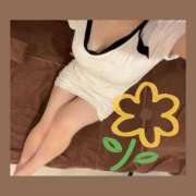 ヒメ日記 2024/12/27 07:30 投稿 あおい Fの法則