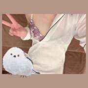 ヒメ日記 2025/03/21 07:45 投稿 あおい Fの法則