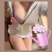 ヒメ日記 2025/04/21 22:02 投稿 あおい Fの法則