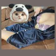 ヒメ日記 2025/04/24 15:15 投稿 あおい Fの法則