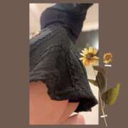 ヒメ日記 2025/05/29 13:15 投稿 あおい Fの法則