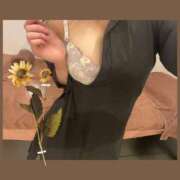 ヒメ日記 2025/06/21 11:45 投稿 あおい Fの法則