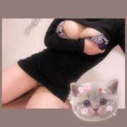 ヒメ日記 2025/07/28 06:45 投稿 あおい Fの法則