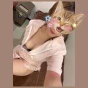 ヒメ日記 2025/09/09 14:45 投稿 あおい Fの法則