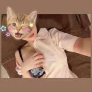 ヒメ日記 2025/09/16 11:30 投稿 あおい Fの法則