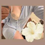 ヒメ日記 2025/10/31 19:45 投稿 あおい Fの法則